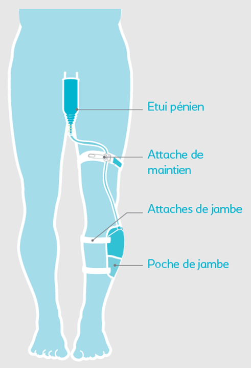 image6eyxh.png